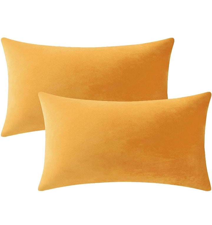 Velvet Throw Pillows (lumbar)