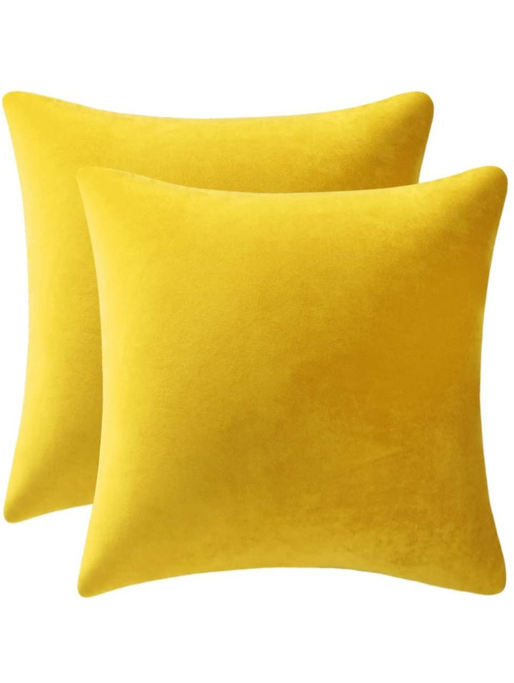VILLAGE A Velvet Monogram Personalized Throw Pillow